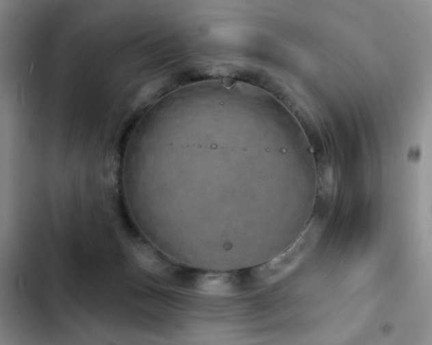 X0000103150175200808221339