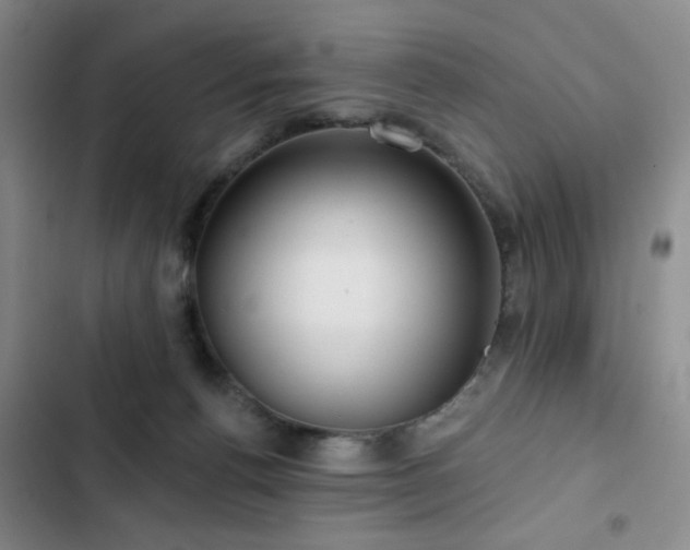 X0000103150176200808221339