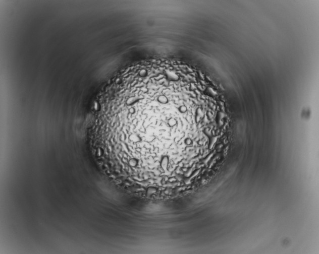 X0000103150177200808221339