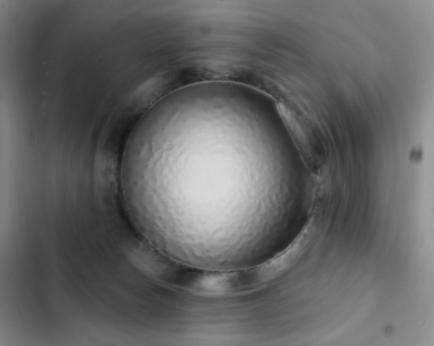 X0000103150178200808221339