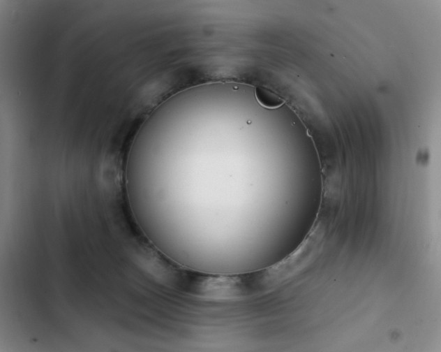 X0000103150179200808221339