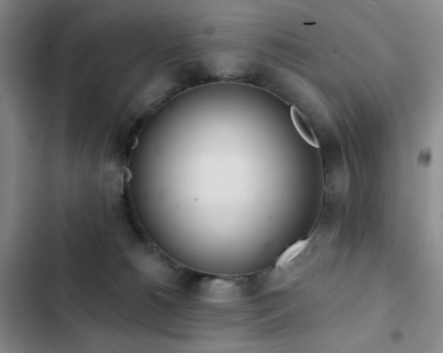 X0000103150180200808221339