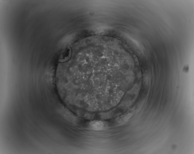 X0000103150181200808221339