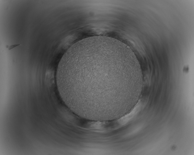 X0000103150182200808221339