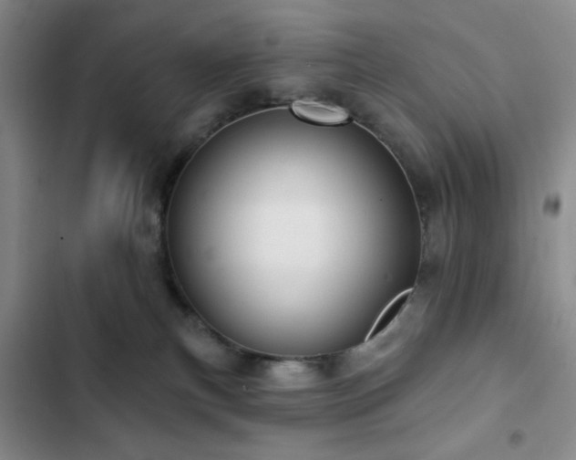 X0000103150183200808221339