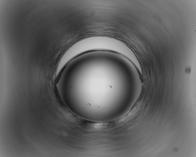 X0000103150184200808221339