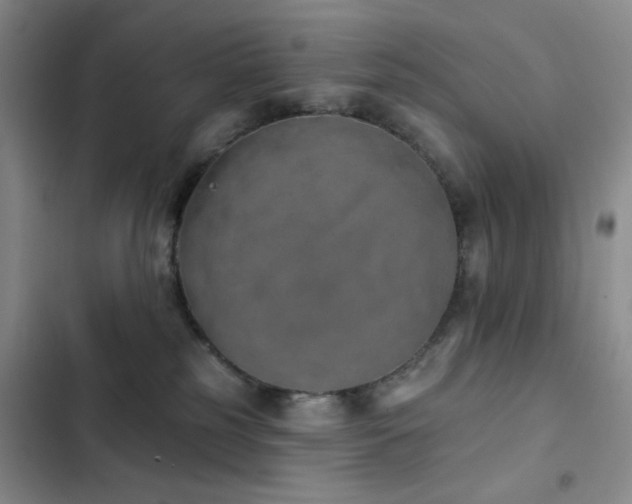 X0000103150185200808221339