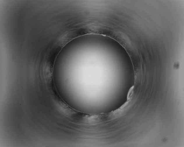 X0000103150186200808221339