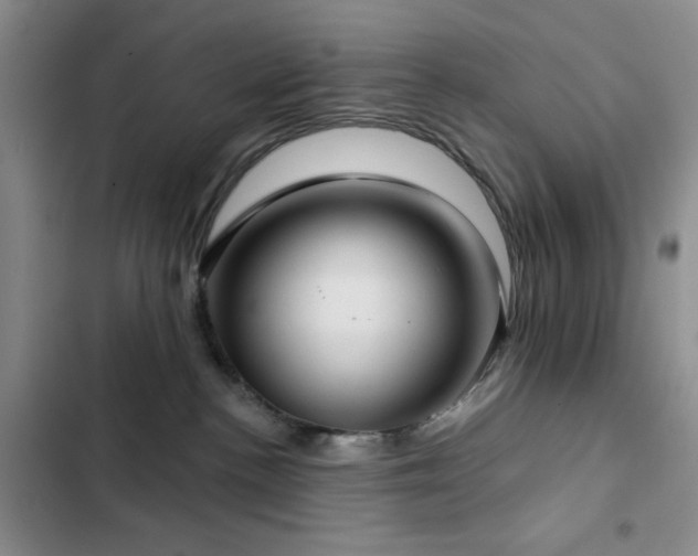 X0000103150188200808221339