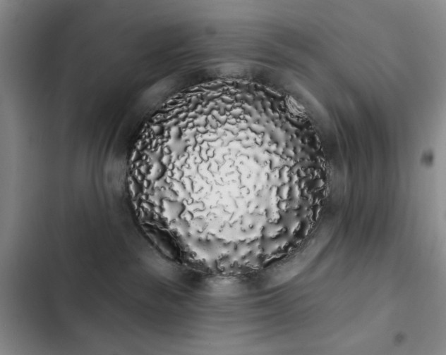 X0000103150189200808221339