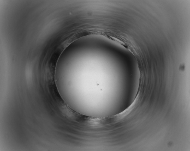 X0000103150190200808221339