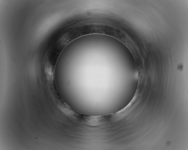 X0000103150191200808221339