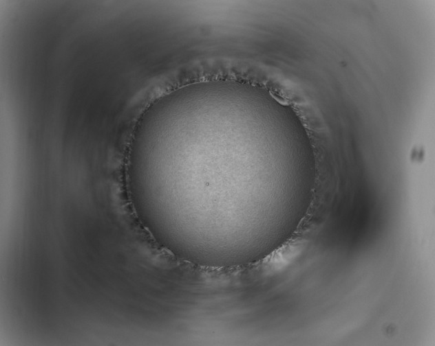 X0000103150192200808221339