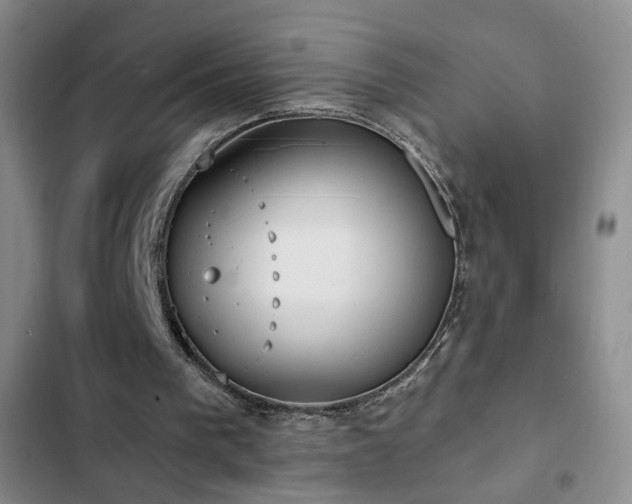 X0000103150193200808221339