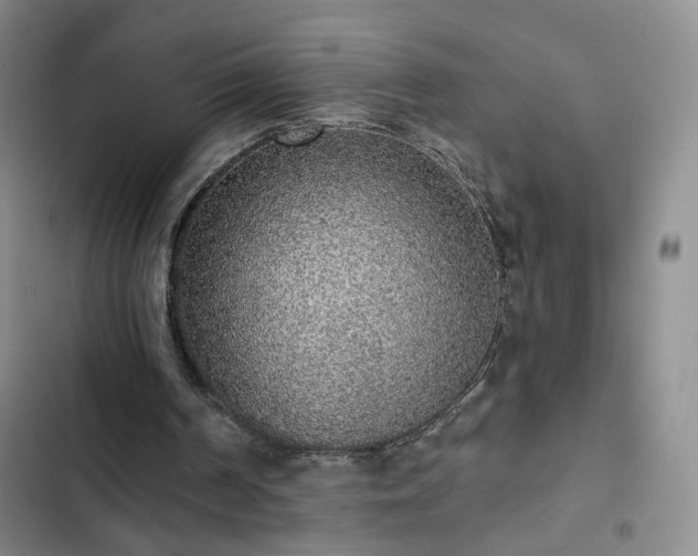 X0000103150194200808221339