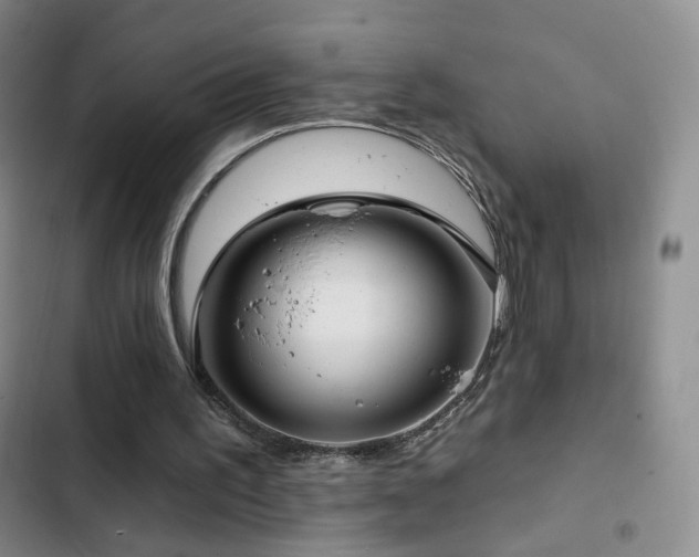 X0000103150195200808221339