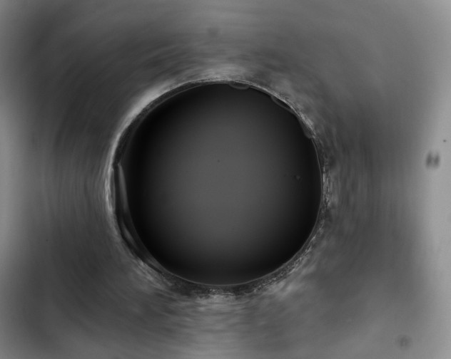 X0000103150196200808221339