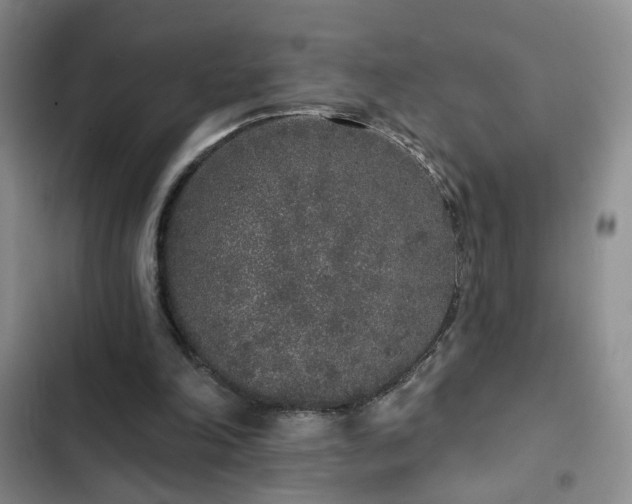 X0000103150198200808221339