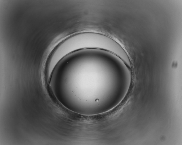 X0000103150199200808221339