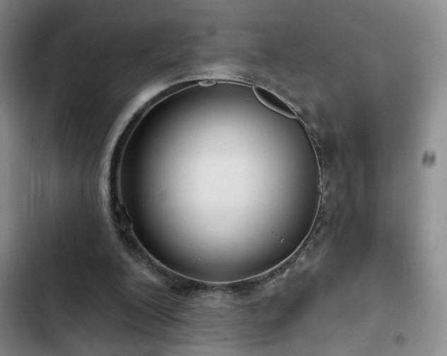 X0000103150200200808221339