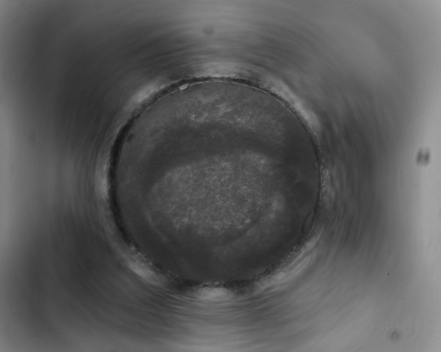 X0000103150203200808221339