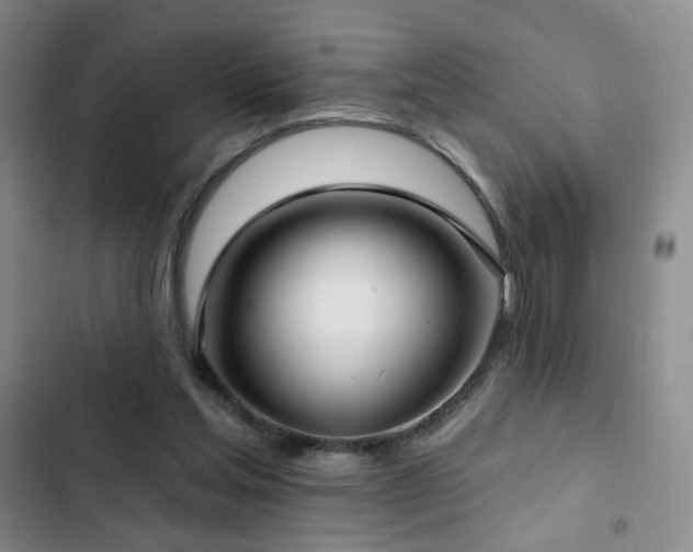 X0000103150205200808221339