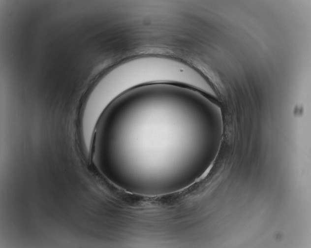 X0000103150207200808221339