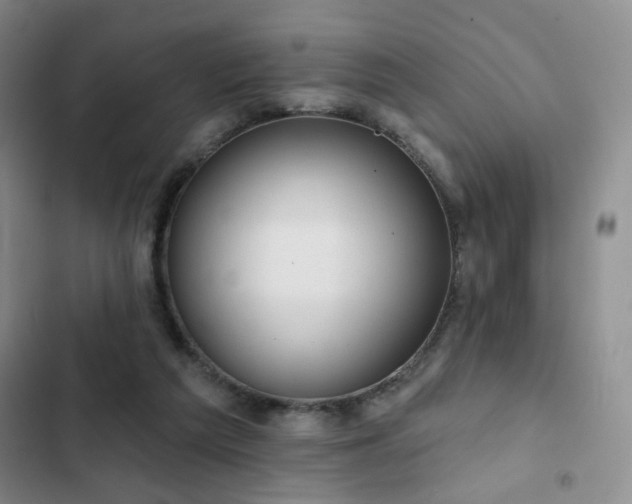 X0000103150209200808221339