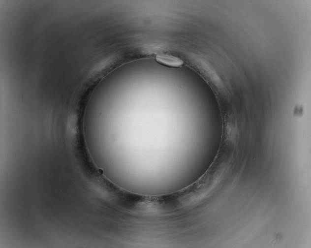 X0000103150211200808221339