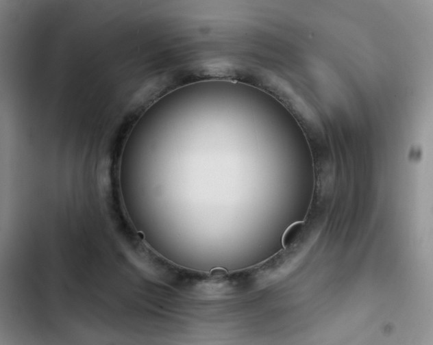 X0000103150213200808221339