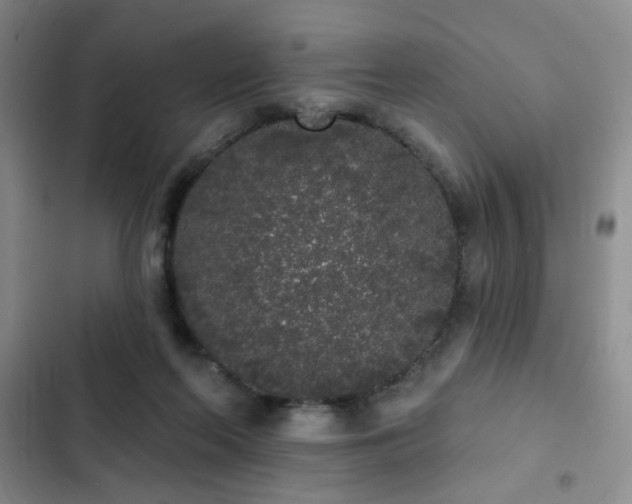 X0000103150214200808221338