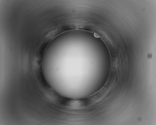 X0000103150218200808221338