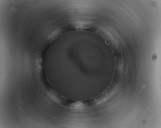 X0000103150219200808221338