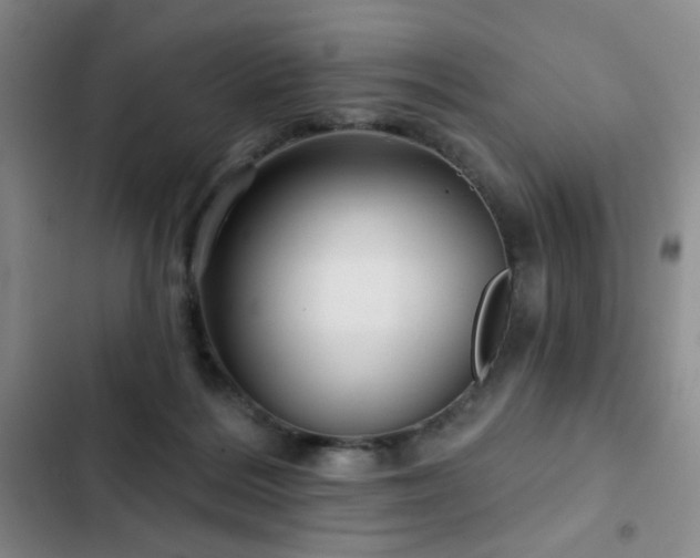 X0000103150220200808221338