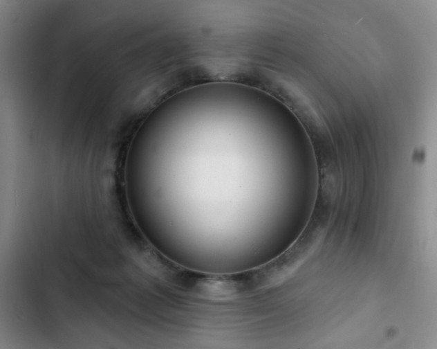 X0000103150221200808221338