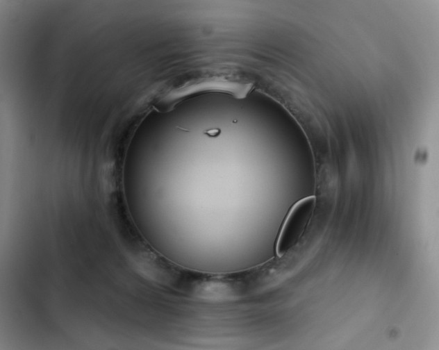 X0000103150224200808221338