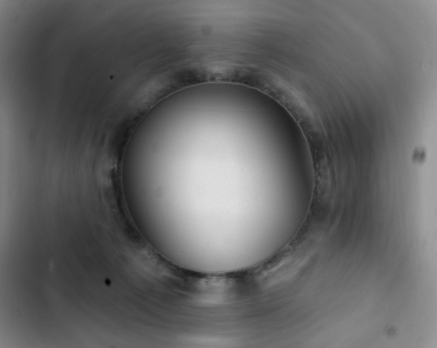 X0000103150225200808221338