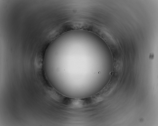 X0000103150226200808221338