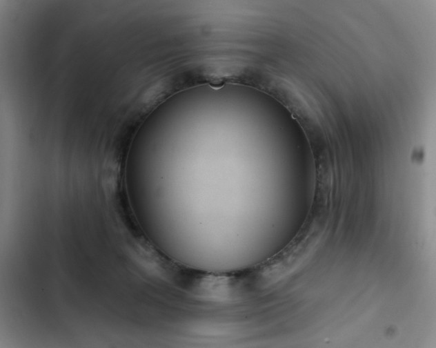 X0000103150227200808221338