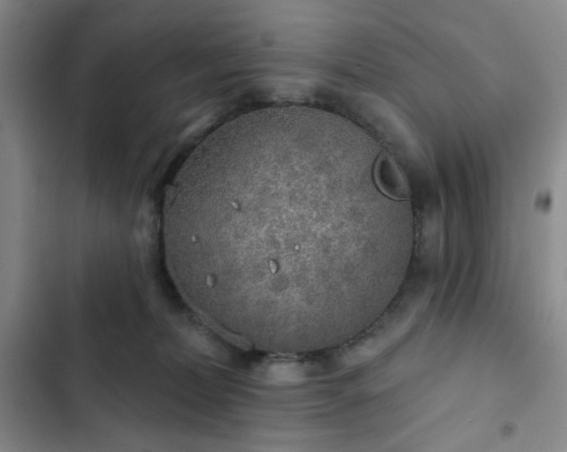 X0000103150228200808221338