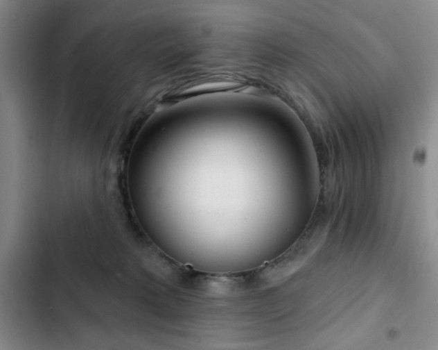 X0000103150229200808221338