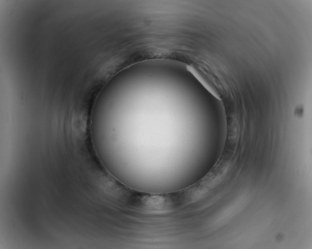 X0000103150230200808221338