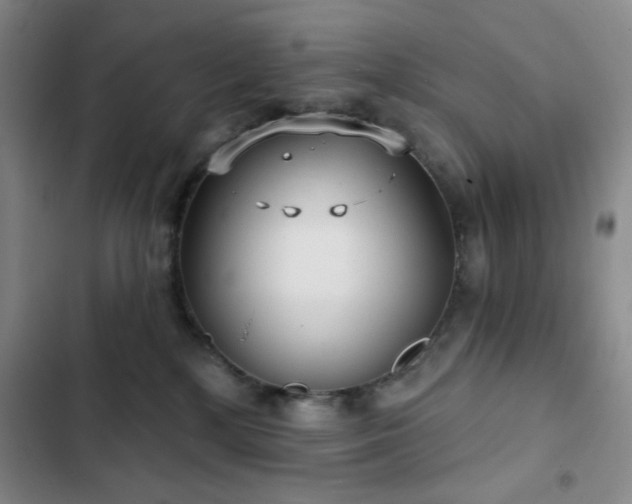 X0000103150232200808221338