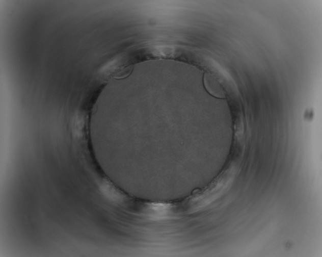 X0000103150233200808221338