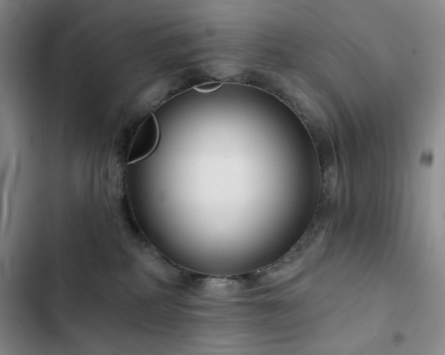 X0000103150234200808221338