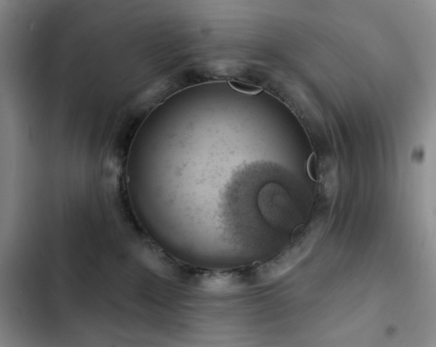 X0000103150235200808221338