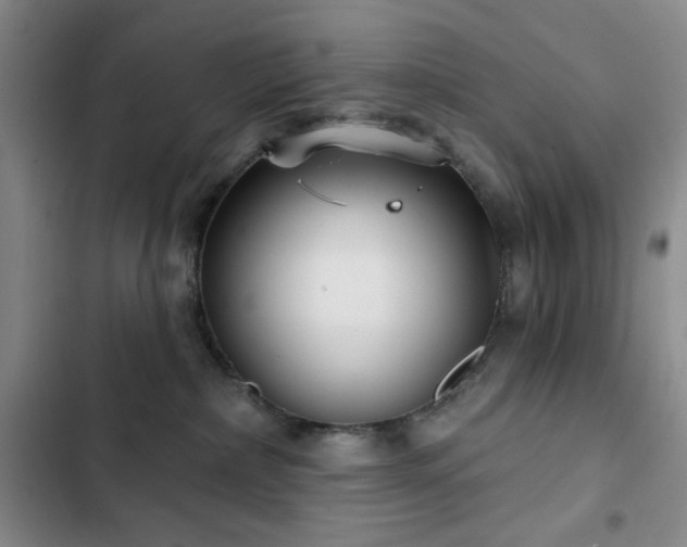 X0000103150236200808221338