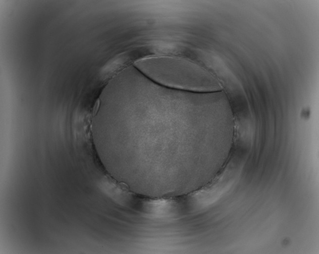 X0000103150237200808221338