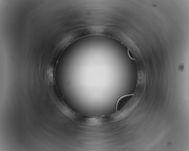 X0000103150238200808221338