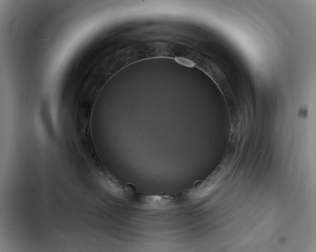 X0000103150239200808221338